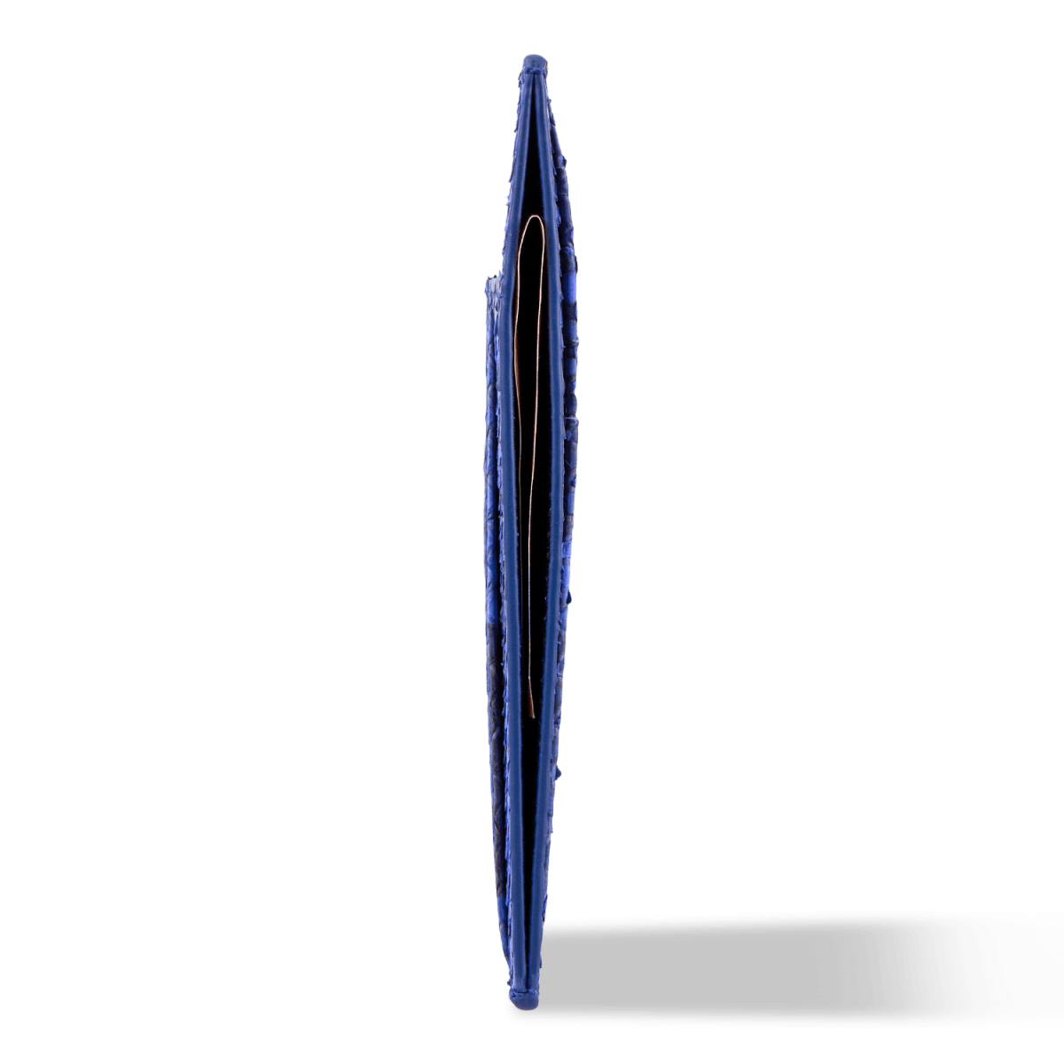 Royal Kartenetui Python Blau - GOLDBLACKpremium