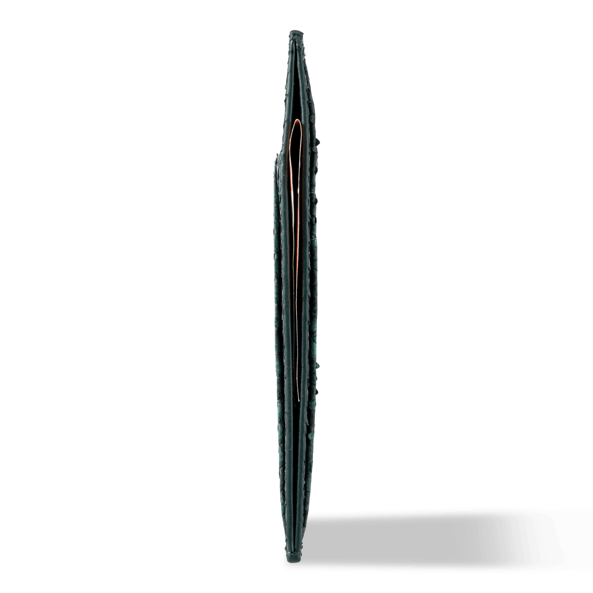 Royal Kartenetui Pythonleder Dunkelgrün - GOLDBLACKpremium